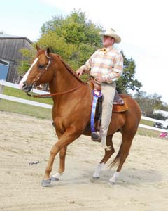 Bill Ritchie Showing Western Pleasure