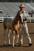 Bill and Foal