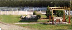 Outdoor Rings