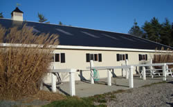 Outside wash stalls
