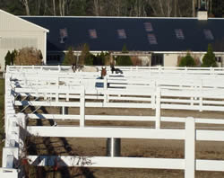 Automatic heated waterers in all the paddocks